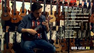 Ukulele PukanaLa PU13C Concert Review sound test [upl. by Asor]