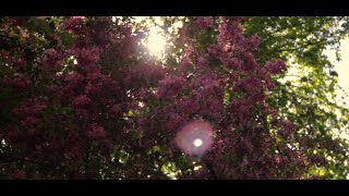 Canon 600D  YONGNUO 35mm Cinematic Short Film [upl. by Eerized]