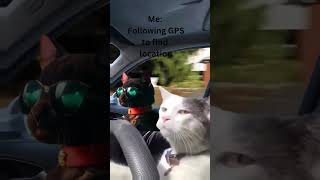 Reroute🚏gps soundeffects automobile memes [upl. by Apfelstadt]