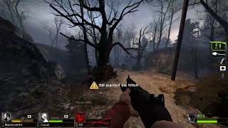 L4D2 Flame breathing gone wrong [upl. by Abih660]