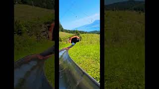 Tobogganing ride Switzerland switzerland mountains pilatus [upl. by Ttelrats]