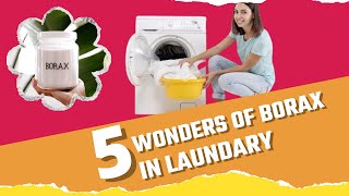 How To Use Borax In Laundry See Amazing Results [upl. by Garson454]