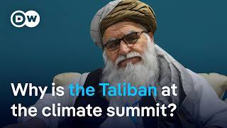 Controversy as Taliban delegation joins the COP29 climate summit in Azerbaijan  DW News [upl. by Waterer]