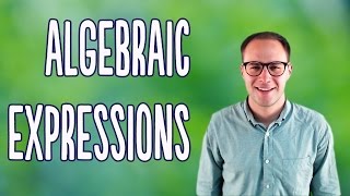 Algebraic Expressions Basics [upl. by Ruben]