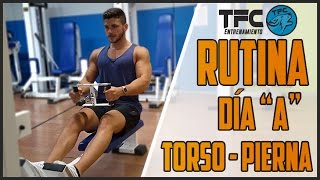 CÓMO PLANIFICAR UNA RUTINA DE TORSOPIERNA PARTE 1  The Fit Club [upl. by Nathanael227]