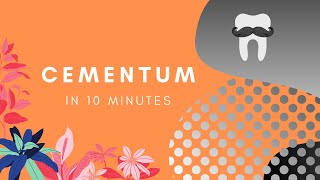 Cementum  Basic Histology in 10 Minutes [upl. by Gittle557]