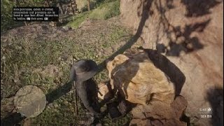 Red Dead Redemption 2 quotCalumet Ravine Treasure Map Locationquot [upl. by Weixel]