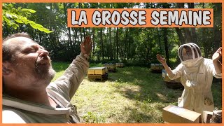 La grosse semaine [upl. by Yedoc]