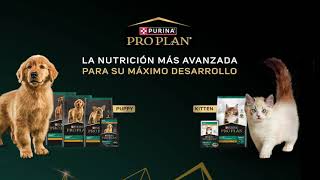 Pro Plan® La nutrición más avanzada para su máximo desarrollo [upl. by Mariken135]