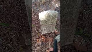 Promo 1 PARANORMAL SHORT SESSION 41 by Keith Evans Chestnut St Cemetary 20 Nov 2024 [upl. by Lawley408]