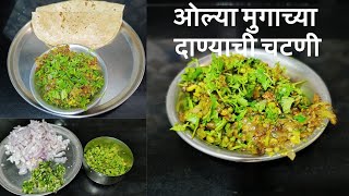 ओल्या मुगाच्या दाण्याची चटणी  Mugachi dal chutney marathi [upl. by Janetta]