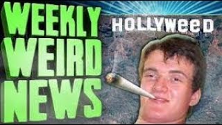 ETC Archive HOLLYWEED 2017  WWN [upl. by Torrin43]