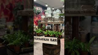 Cute Plant Store in the Cincinnati Suburbs Welcome to Montgomery OH plantmom [upl. by Neilson]