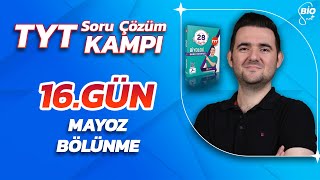 Mayoz Bölünme Soru Çözümü  21 Günde TYT Biyoloji Kampı16 [upl. by Zielsdorf789]