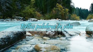 Bellas palabras de vida  Fieles Voces PISTALETRA [upl. by Aetnuahs]