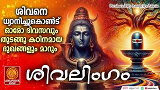 മനോഹരമായ ശിവഭക്തിഗാനങ്ങൾ  Shiva Devotional Songs Malayalam  Hindu Devotional Songs Malayalam [upl. by Gamin]