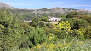 Living in El Jaral Casares [upl. by Anne683]