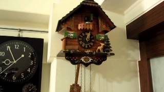 cuckoo clock break down  how to fix it [upl. by Yarg]