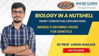 Mendels Dihybrid Cross for Genetics [upl. by Enyahc356]