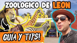 ASÍ es el ZOOLÓGICO de LEÓN GUANAJUATO 🦁🦒🇲🇽 Costos Guía COMPLETA ✅ [upl. by Lin663]