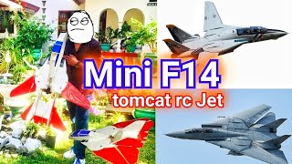 DIY RC F14 sinhala  F14 tomcat පොඩි සයිස් එක [upl. by Berkley270]