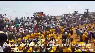 Jallikattu thalaivar senthil thondaman kaalai [upl. by Magdaia520]