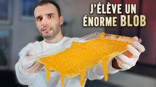 Jélève un énorme Blob [upl. by Orva]