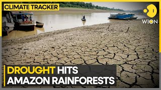 Amazon rainforests Drought expected to affect 500000 people in the region  WION Climate Tracker [upl. by Giliane]