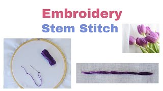 Stem Stitch  Hand Embroidery for Beginners [upl. by Demetria734]