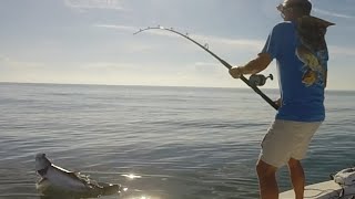 Fishing Pogy pods for Big Tarpon in North Florida [upl. by Adriano]