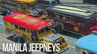 MANILA JEEPNEYS [upl. by Eedyak]