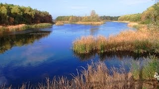 Sopron Fertöto Neusiedlersee [upl. by Ahsekim]