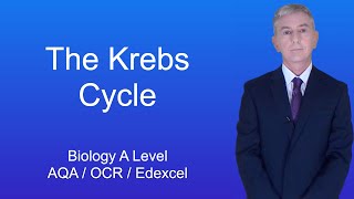 A Level Biology Revision quotThe Krebs Cyclequot [upl. by Notsahc989]