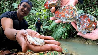 Keberuntungan saya terlalu besarmenemukan batu emas dan menangkap banyak ikan liar di hutan ini [upl. by Cousin380]