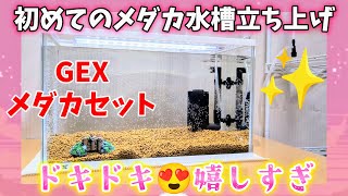 【メダカ】初めてのめだか水槽立ち上げセッティング感動😍GEXメダカ元気メダカのための水槽セット400！嬉しい大奮闘🤣室内飼育初心者アクアリウムジェックス開封越冬ガラス水槽40cm [upl. by Eikcaj]