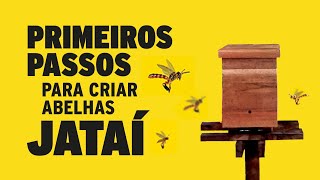 Primeiros passos para Criar Abelhas Jataí [upl. by Eugeniusz979]