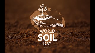 2 Minute Turf Talk  World Soil Day 2021 [upl. by Saberio]