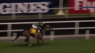 Dubai World Cup 2014 Highlights [upl. by Sela]