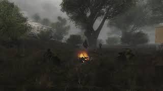 STALKER Narodnaya Solyanka Ambience  Forgotten Forest Campfire [upl. by Aropizt724]