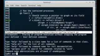 Easier Go debugging on the command line with CGDB [upl. by Attelliw]