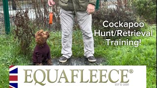 COCKAPOO HUNTRETRIEVAL TRAINING [upl. by Collier654]