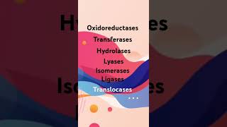 Enzyme classification  shorts class11 class12 neet biology enzymes [upl. by Idnyc149]