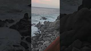 Waldorf Astoria El Farallon Restaurant cabo hilton resort shorts travel views mexico vlog [upl. by Notsnhoj]