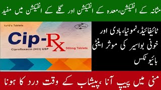 cip rx tablet uses in urdu  cip rx tablet 500mg  ciprofloxacin tablets ip 500mg uses [upl. by Natsyrk]