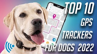 Top 10 Gps Trackers for Dogs 2022  Best Gps Pet Tracker [upl. by Assiren]