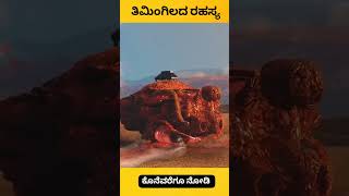 Whale explode facts kannada facts factsinkannada [upl. by Fanchet993]