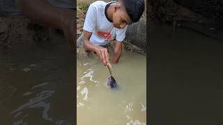 Attractive Unique Hand Fishing Challenge Video😲fishinghandfishingshorts [upl. by Sumetra]