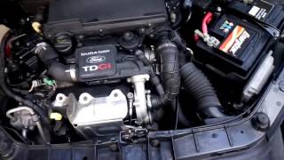 Ford Fiesta 14 TDCI 2007 weird engine noise [upl. by Ramal]