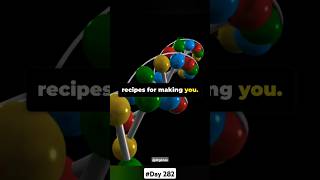 From DNA to Proteins 3D Animation Explained [upl. by Somerville950]