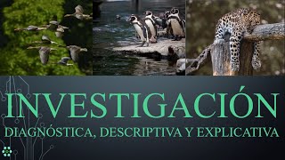 Investigación Diagnóstica Descriptiva y Explicativa profundidad al abordar un fenómeno o problema [upl. by Kliber]